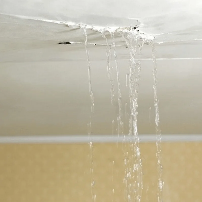 Unexpected Water Leakage - SS Water Restoration