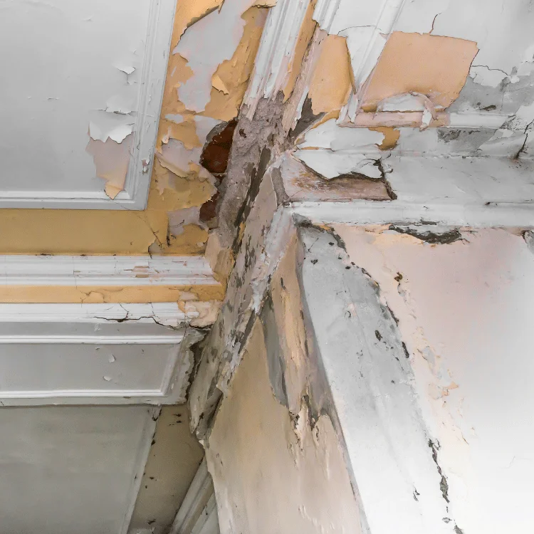 Water damage ceiling and wall restoration services in Dallas TX - SS Water Restoration