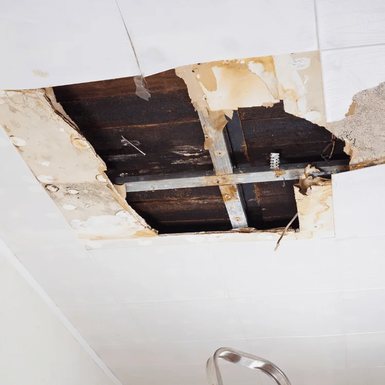 Water damage ceiling restoration services Fairview TX - SS Water Restoration
