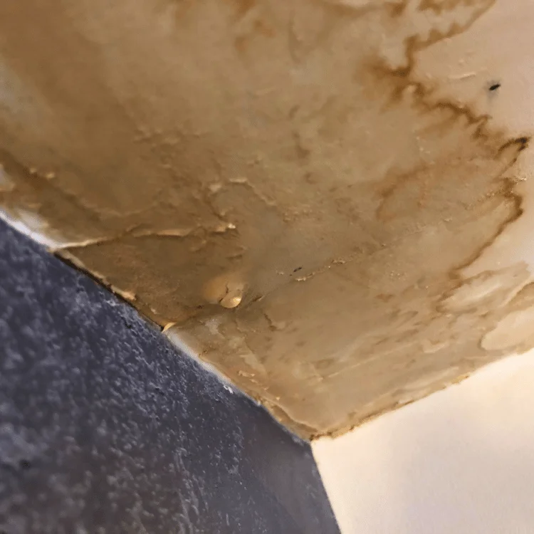 Water damage ceiling restoration services in Fairview TX - SS Water Restoration