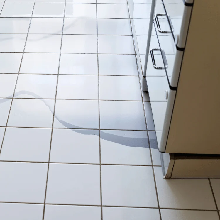 Water damage restoration services in Dallas TX - SS Water Restoration