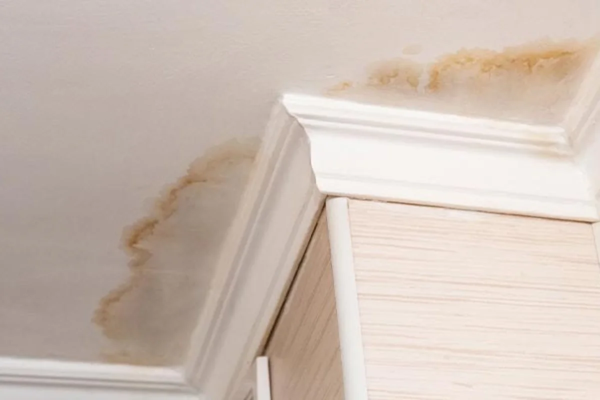 water intrusion from ceiling