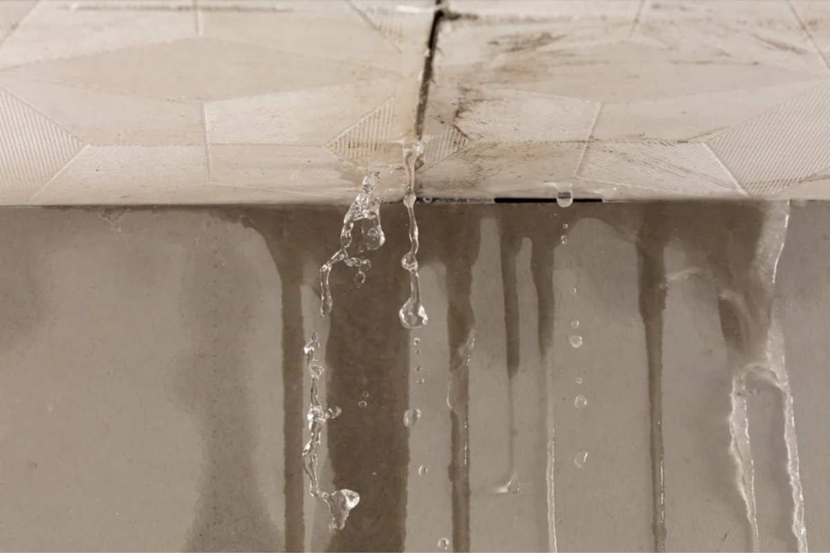 water intrusion from ceiling in Princeton TX