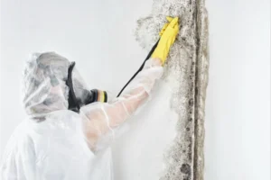 Why Professional Mold Remediation Is Worth It - SS Water Restoration