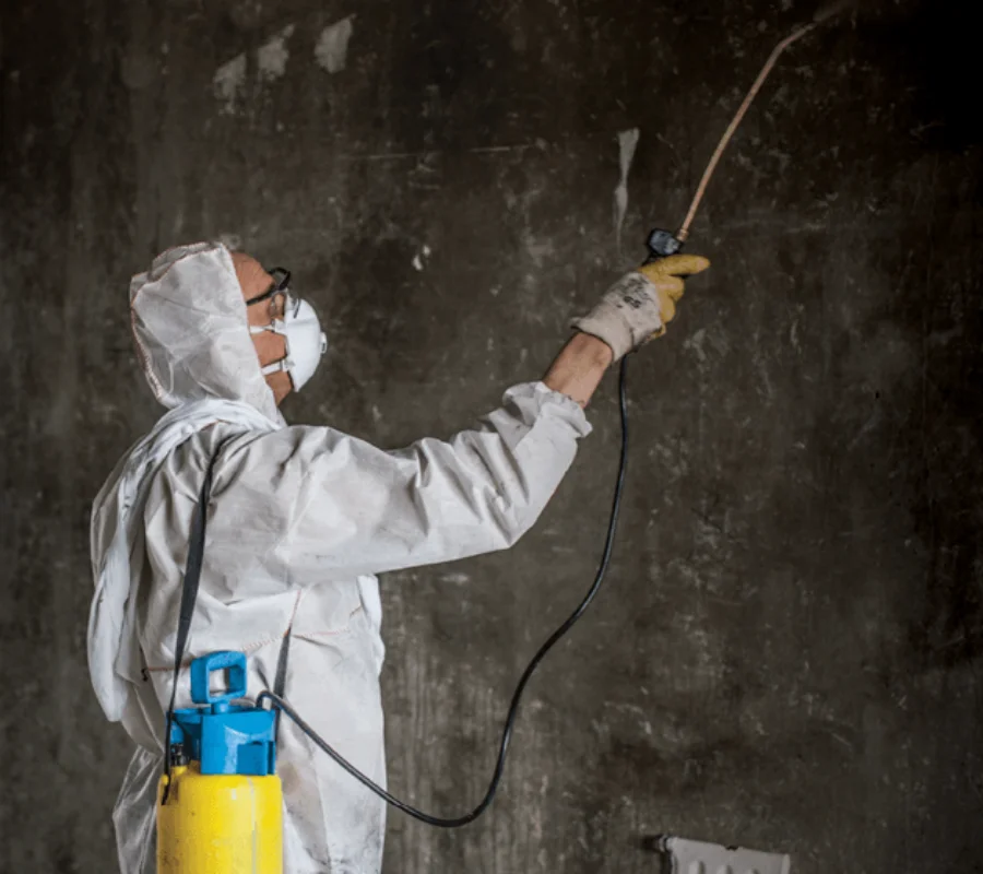 Odor Removal & Air Quality Restoration - SS Water Restoration