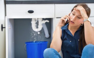 Essential Kitchen Water Damage Prevention Tips Every Homeowner Should Know