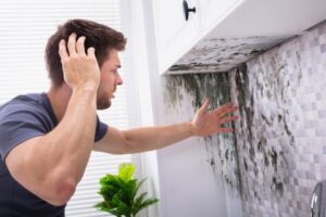 Mold Prevention After Water Damage