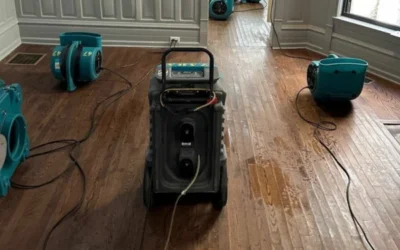 Emergency Water Damage Restoration Services in Texas: Help When Your Home Needs It Most