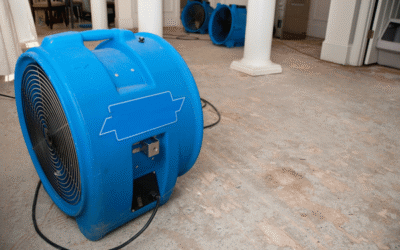 Emergency Water Damage Restoration Services in Texas: Help When Your Home Needs It Most