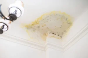 Visible and Hidden Signs of Water Damage in a Texas Home - SS Water Restoration