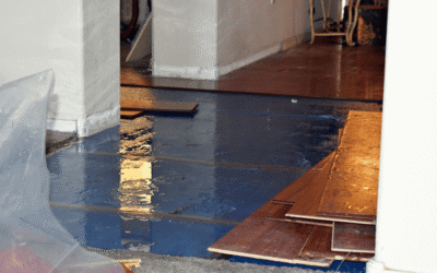 Water Damage Restoration in Plano: 24/7 Help for Your Home