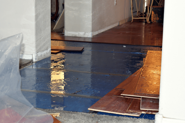 Water Damage Restoration in Plano: 24/7 Help for Your Home