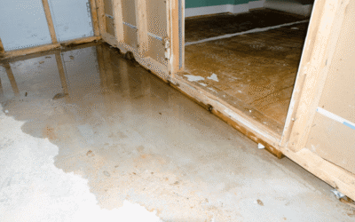 Water Damages in Texas: A Practical Guide for Homeowners and Buyers