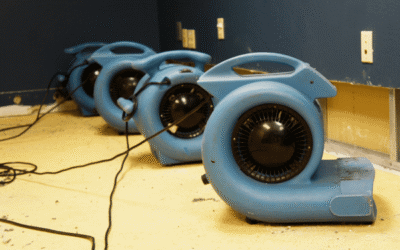 Commercial Water Damage Restoration: How Businesses Recover Quickly and Safely After a Disaster