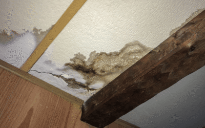 Water Damage Inspection: How Professionals Find Hidden Moisture Before It Becomes a Bigger Problem