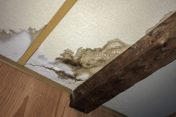 Water Damage Inspection: How Professionals Find Hidden Moisture Before It Becomes a Bigger Problem
