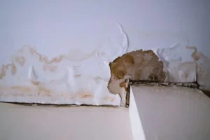 How to Get Rid of Water Damage Smell the Right Way - SS Water Restoration