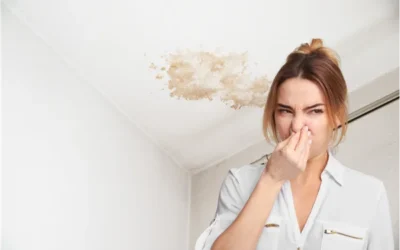 Water Damage Smell: What It Means, What It Smells Like, and How to Get Rid of It Safely