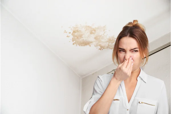 Water Damage Smell: What It Means, What It Smells Like, and How to Get Rid of It Safely