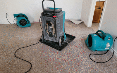 Water Extraction Services Explained: Why Fast Water Removal Matters After Damage