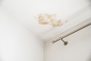What Is a Water Damage Smell - SS Water Restoration