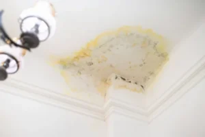 Why Water Damage Smells Often Come Back - SS Water Restoration