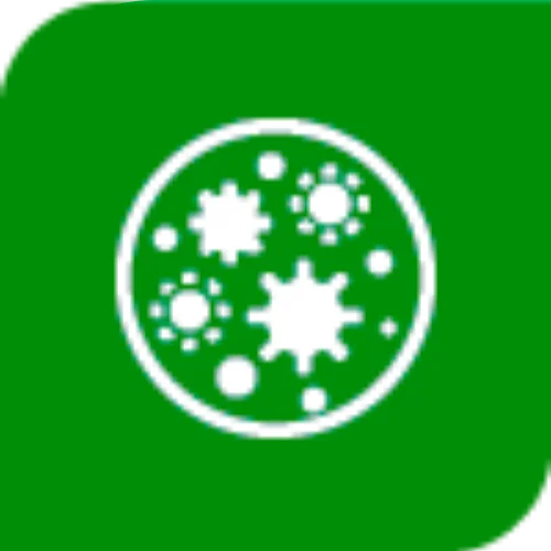 Crawl Space Mold - SS Water Restoration