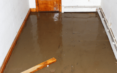 Crawl Space Water Damage: Causes, Risks, and Solutions