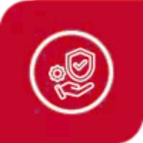 Transparent Process and Insurance Support - SS Water Restoration