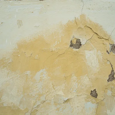 Discolored Walls - SS Water Restoration