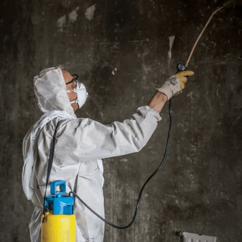 Smoke Damage Restoration - SS Water Restoration