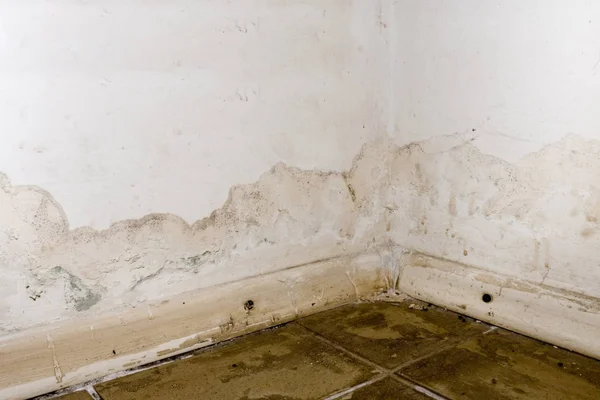 Water Damage Restoration in Aubrey, TX - SS Water Restoration