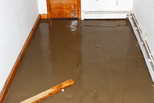 SS Water Restoration - Soaked Living Room From Storm