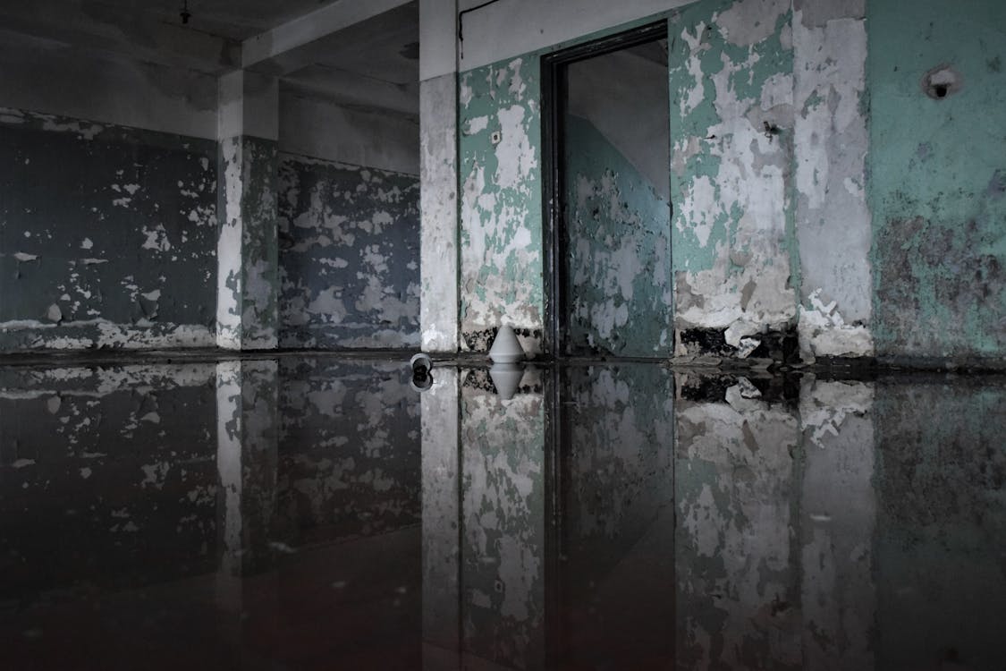 Flooded interior room with standing water, peeling paint, and damaged walls requiring professional water damage restoration.