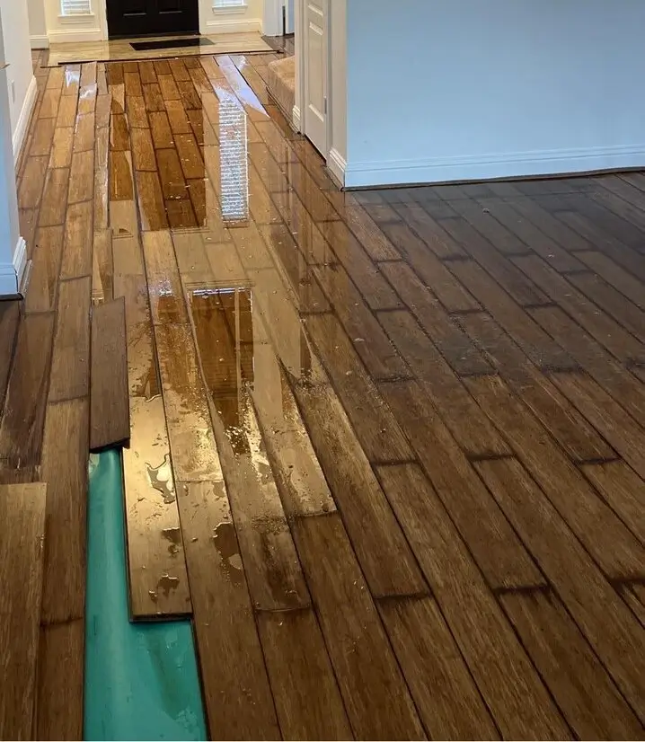 Interior hallway with water-damaged wood-look flooring, standing water, lifted planks, and exposed underlayment.