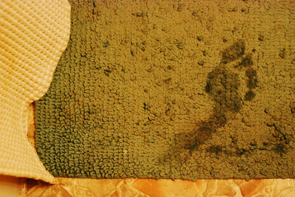 Water-damaged carpet pulled back to reveal a soaked, deteriorating pad