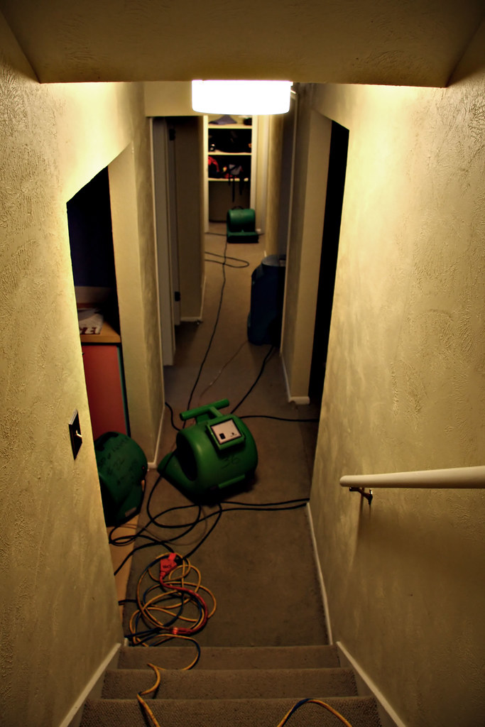 Professional drying equipment running in a water-damaged home interior