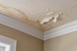 Paint bubbles and peels on a ceiling corner where moisture from a hidden roof leak has built up behind the surface.