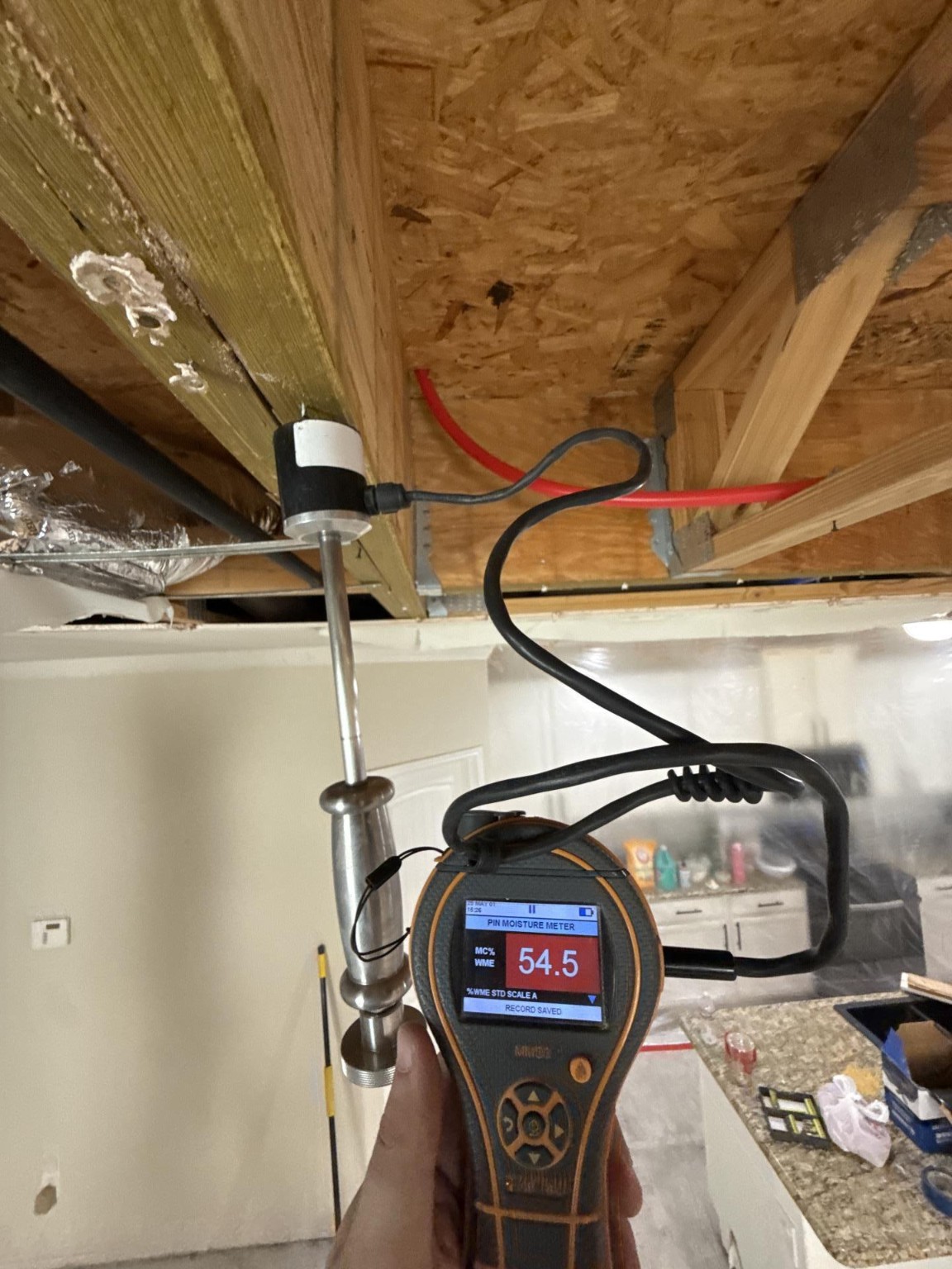 Moisture meter with a hammer probe checking exposed ceiling framing